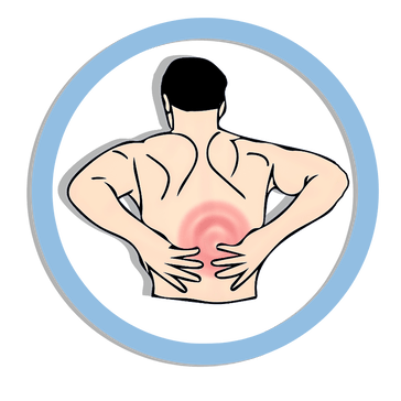 Lumbar Support