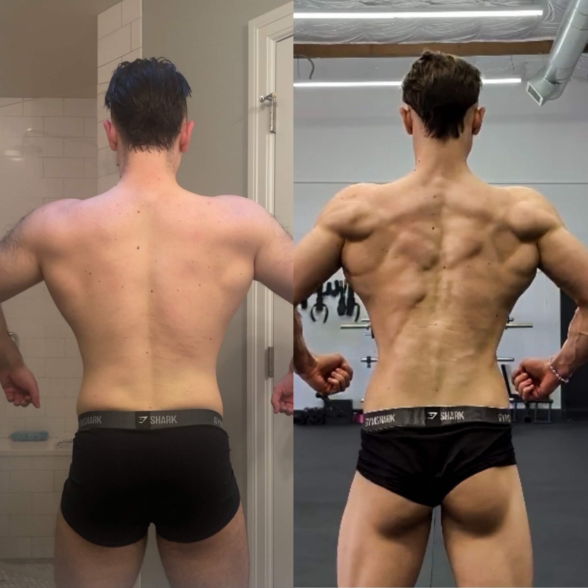 Cole competition physique, back